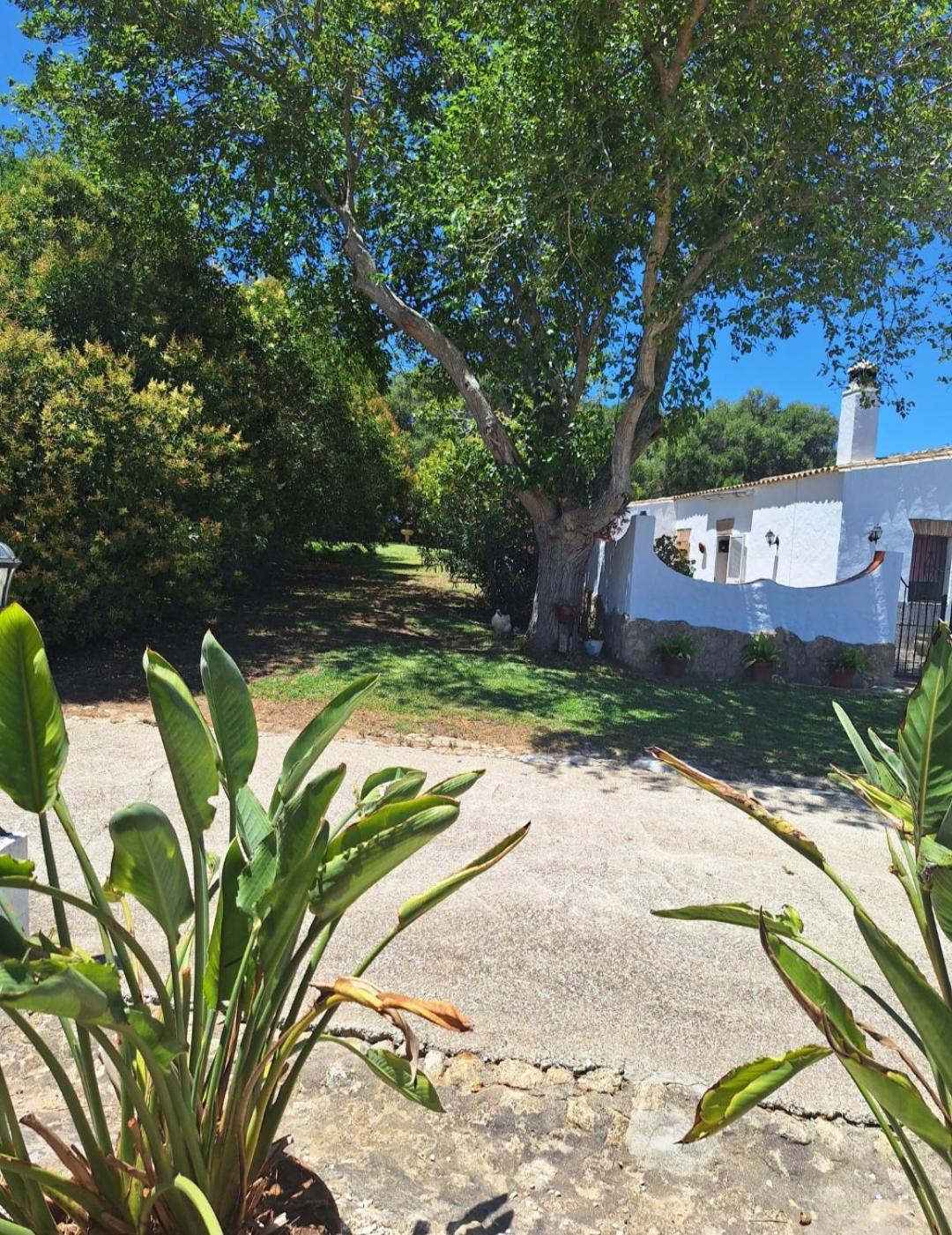 Casa Rural El Nino Santamaria , Con Piscina Y Wifi Вьер де ла Фронтера Экстерьер фото